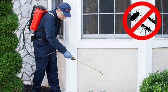Derinkuyu Fare İlaçlama böcek ilaçlama ve haşere kontrolü — ilaclama-tr.com
